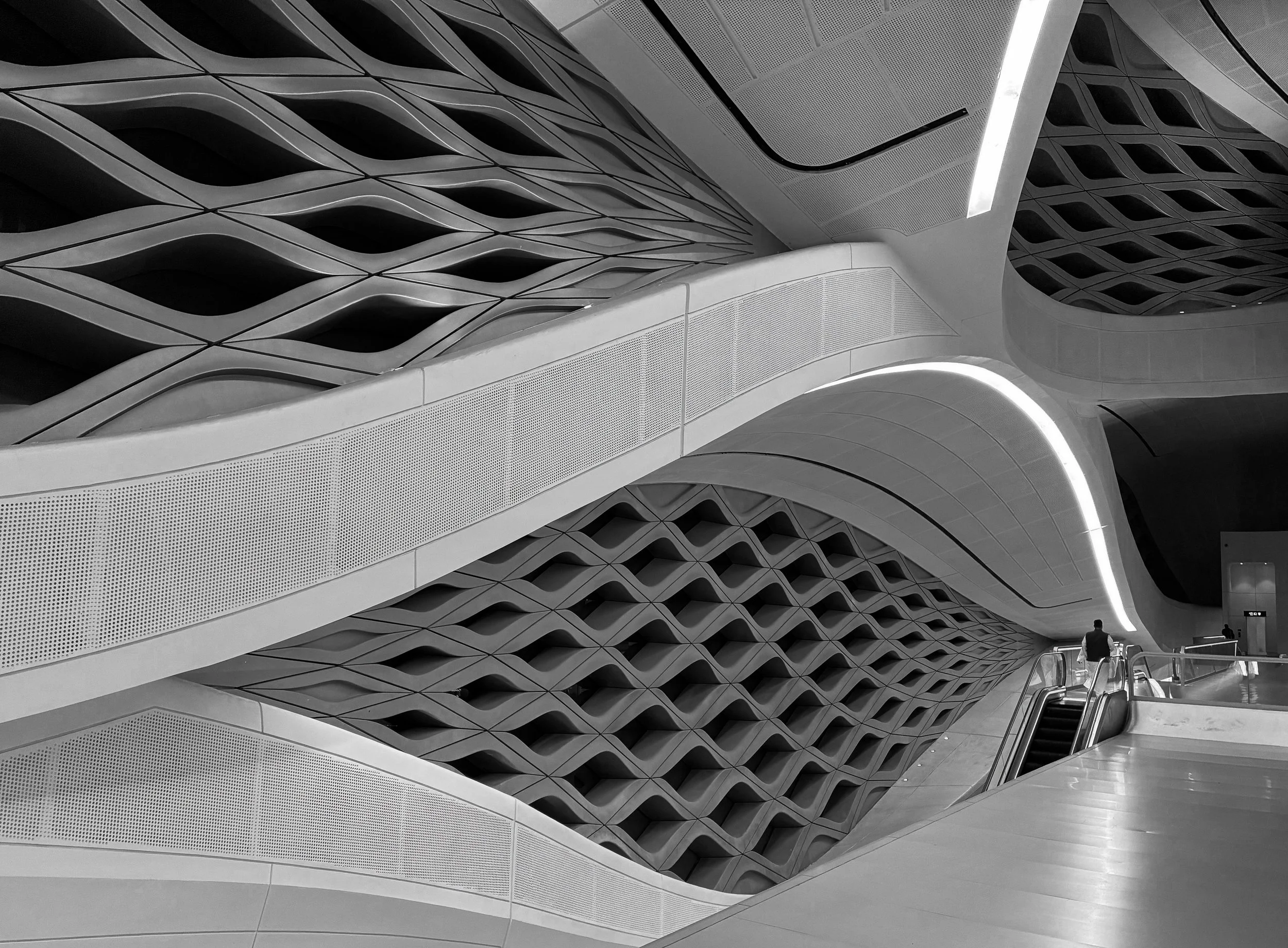 10~Philip Hardy, FAPS~Sinuous Space~2026-08-18~Print - Mono.jpg