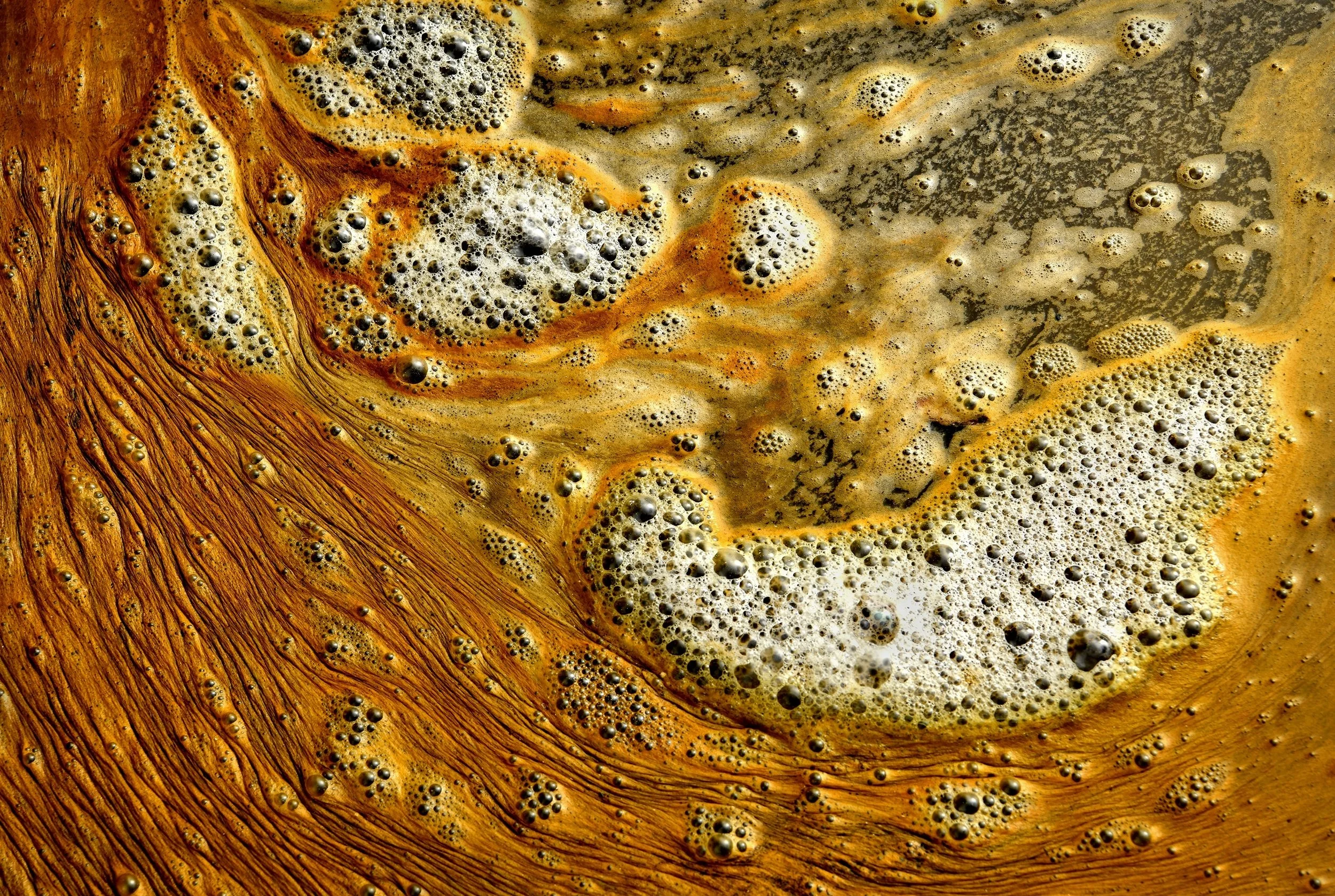 9~David Smith, EFIAP_p GMAPS~Evil Algal Brew~2026-09-01~Digital Colour.jpg