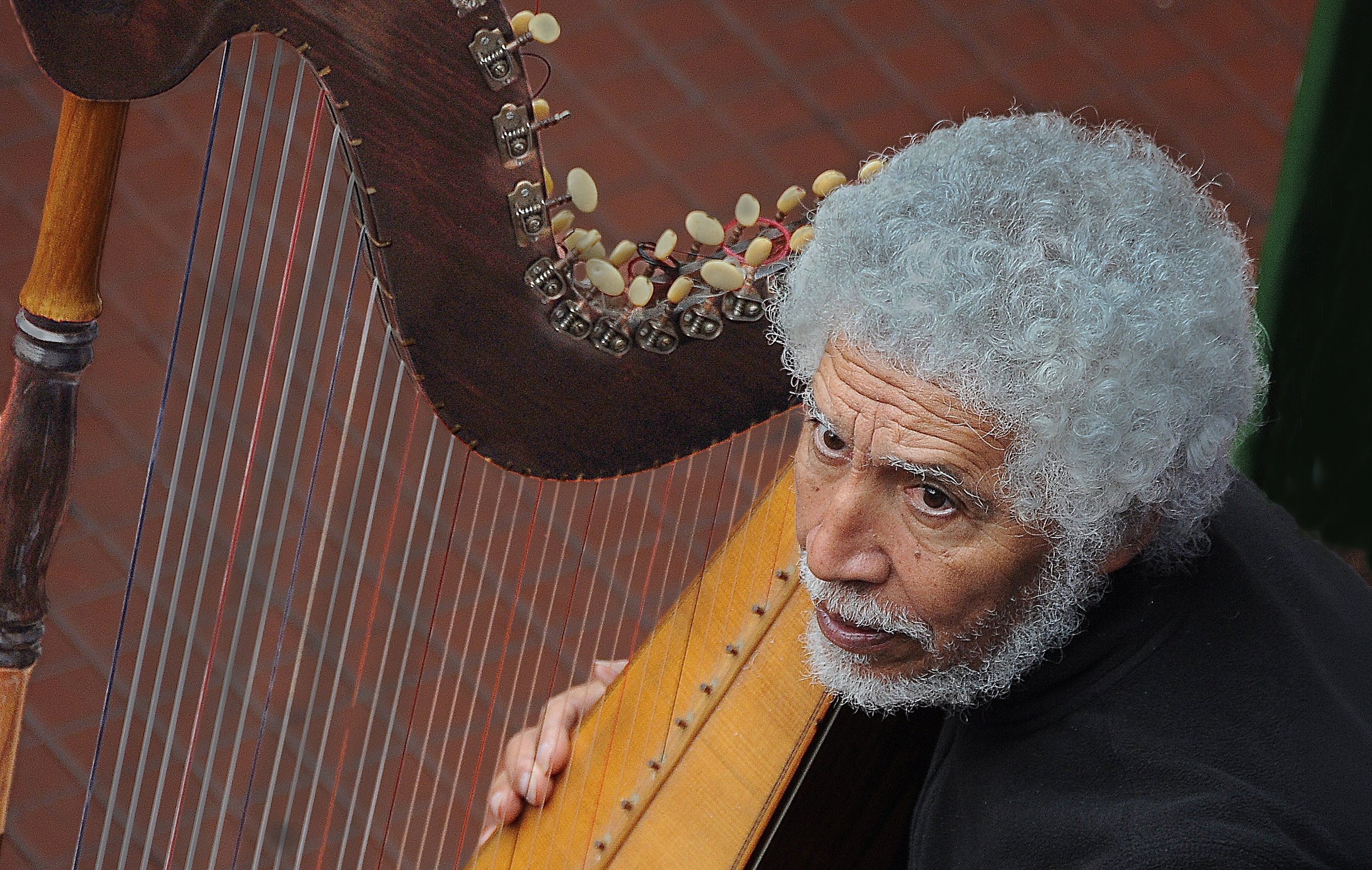 9~David Thompson~Busker~2026-09-01~Digital Colour.jpg