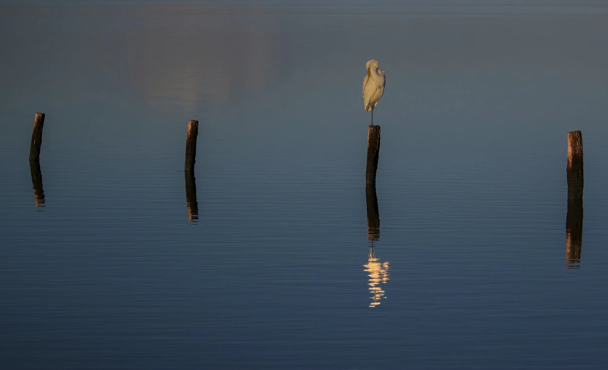 9~Yvonne Smuts~Going Gently into the Night~2026-09-01~Digital Colour.jpg