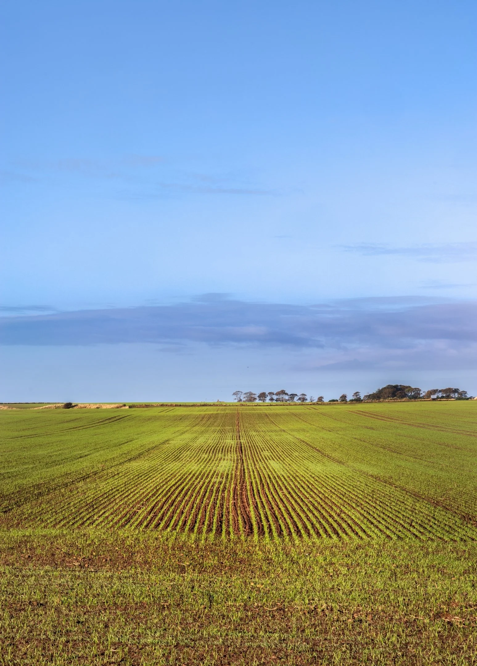9~David Munro, EFIAP FAPS~The furrowed field~2026-10-20~Print - Broad Horizons.jpg