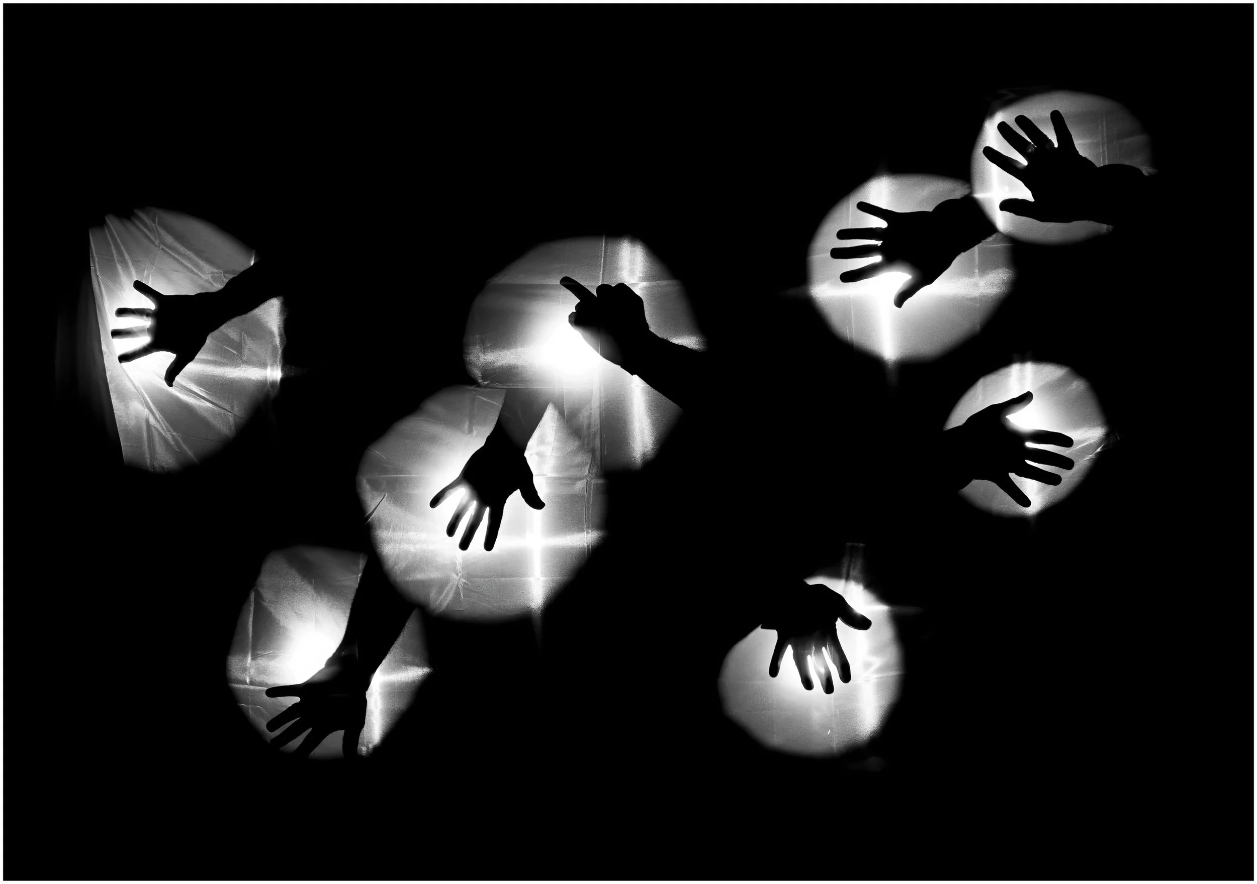 9~Wayne Hough~Giving The Bird~2026-10-20~Digital Open.jpg