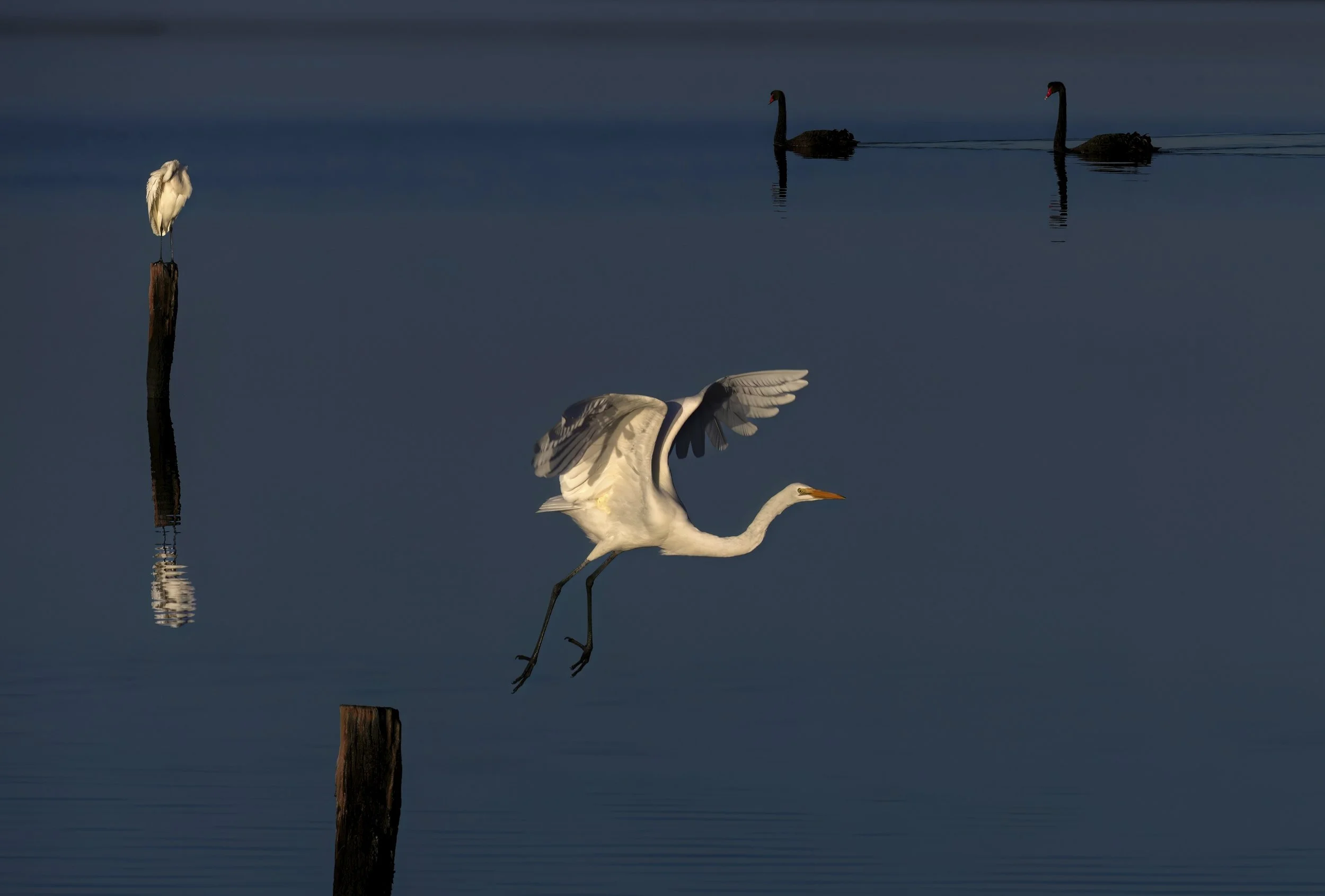 9~Yvonne Smuts~Easing into Dusk~2026-10-20~Digital Open.jpg