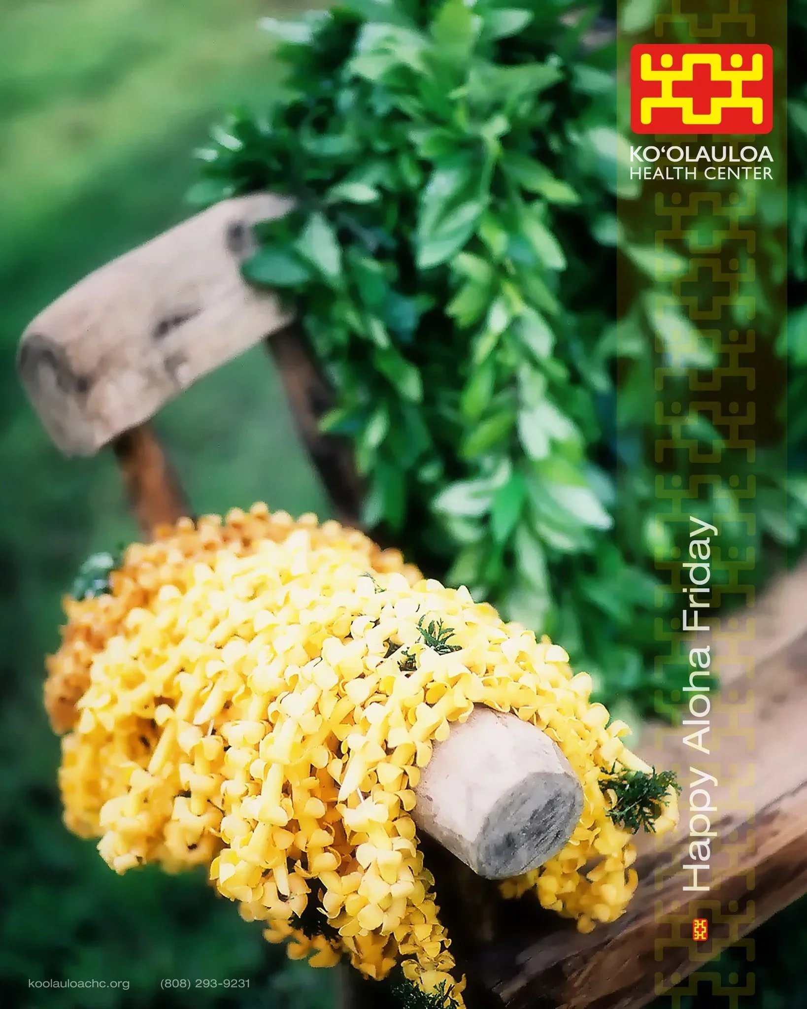 03222024_KHC+Aloha+Friday.jpg.webp