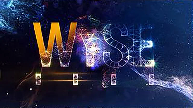 WYSE+7.jpg.webp