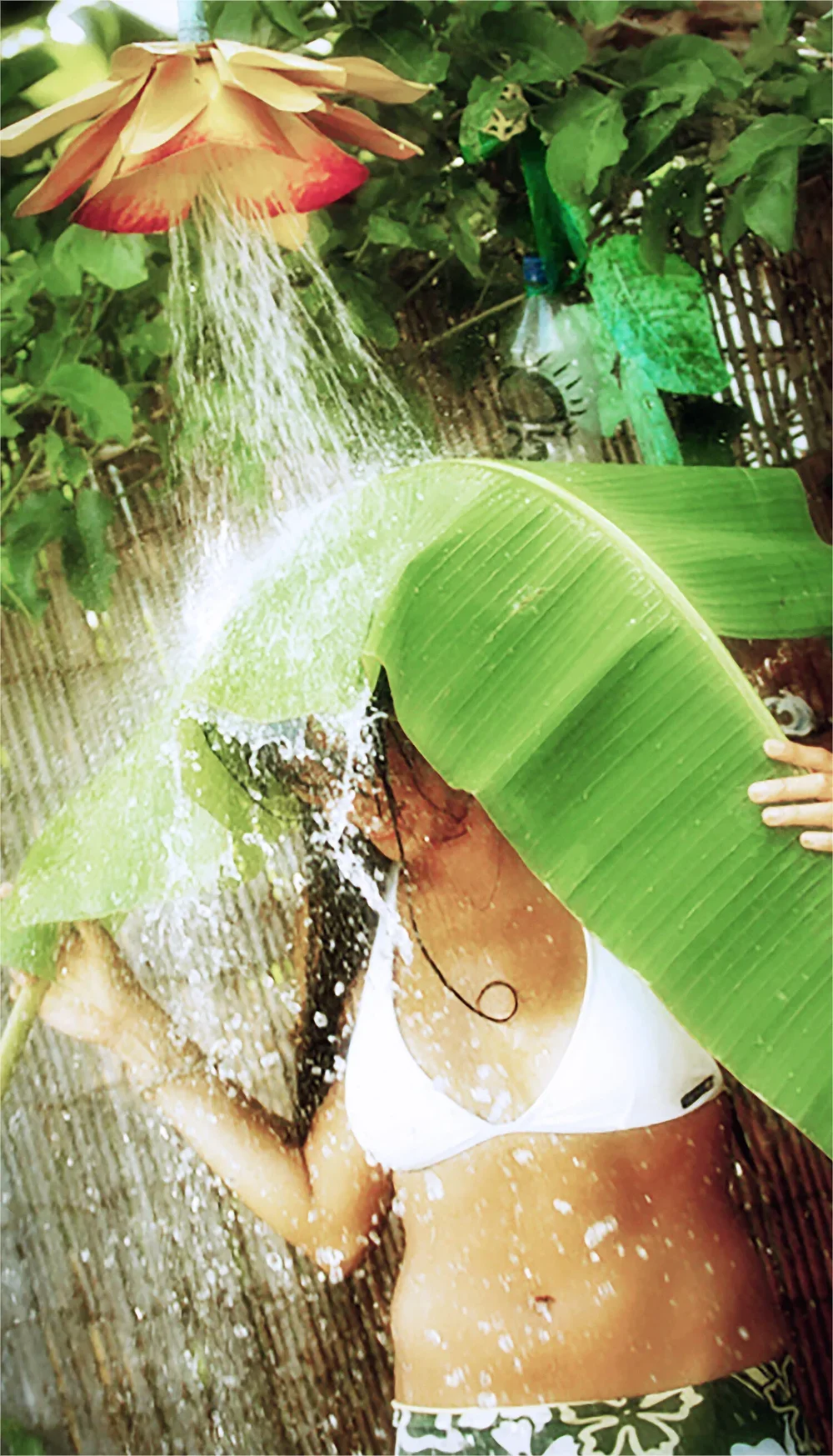 Local+Motion+5.1.jpg.webp