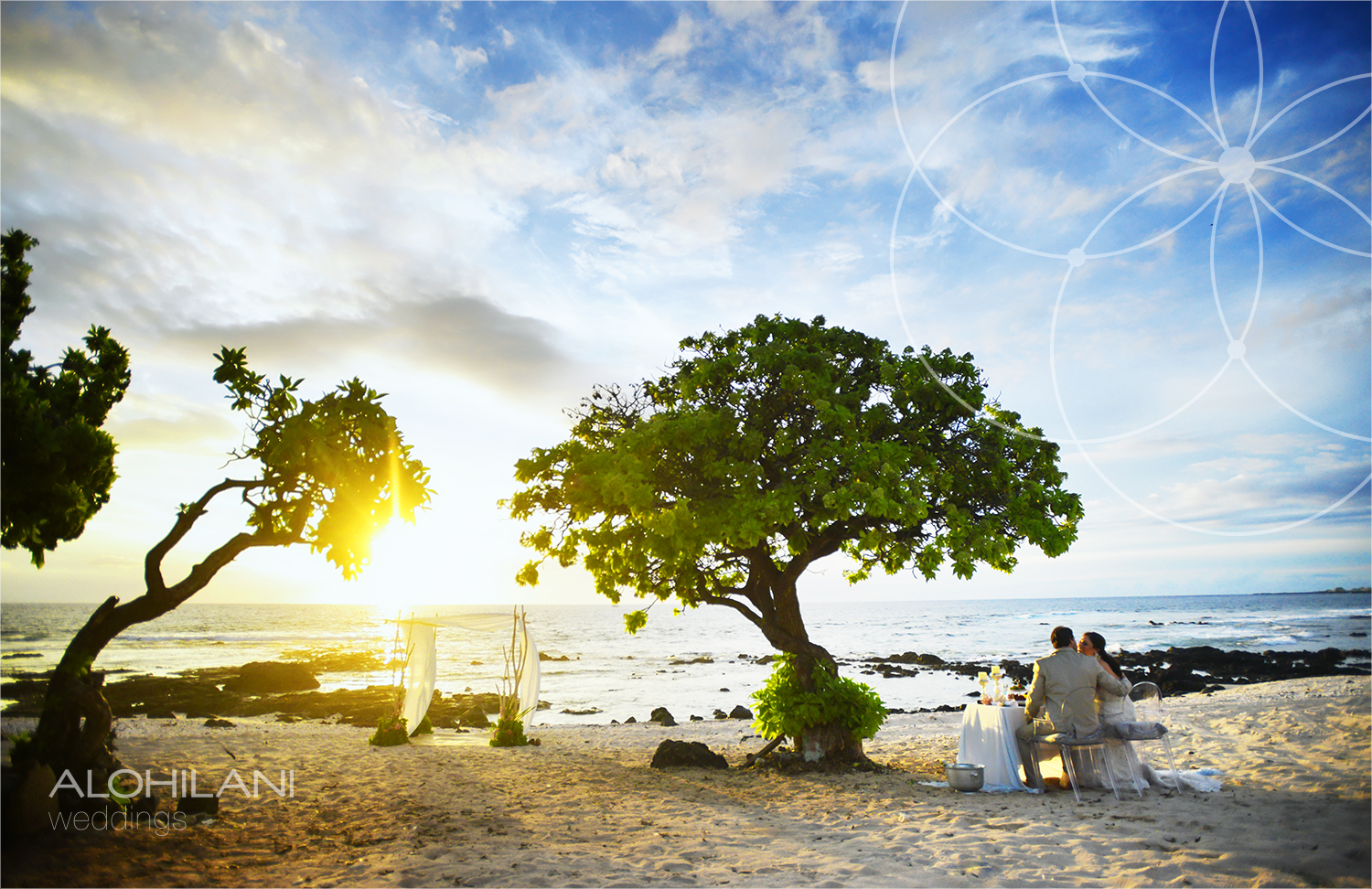 METERA-Branding-Alohilani-Weddings-Anchor.png.webp