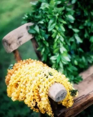 May+day+1.jpg.webp