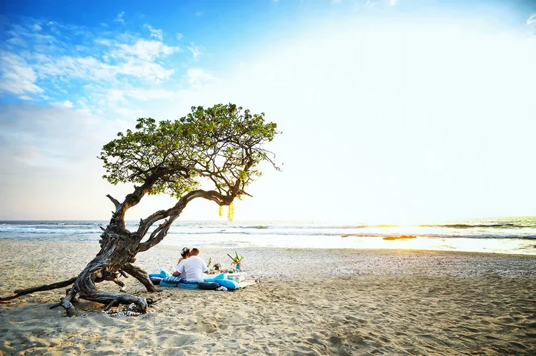 Alohilani+Weddings+27.jpg.webp
