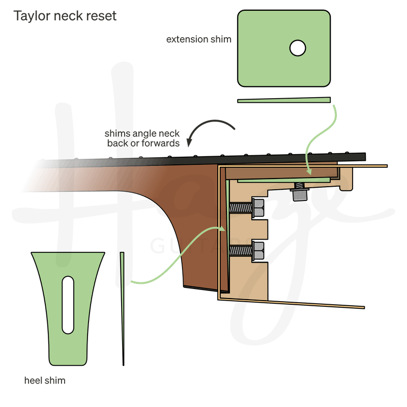 Neck Resets Taylor Guitars — Haze Guitars