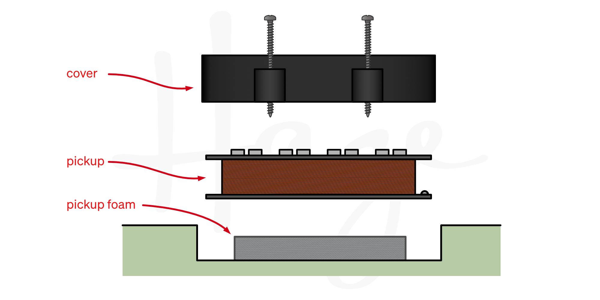 Cutaway showing jazz bass pickup, cover, and foam underneath