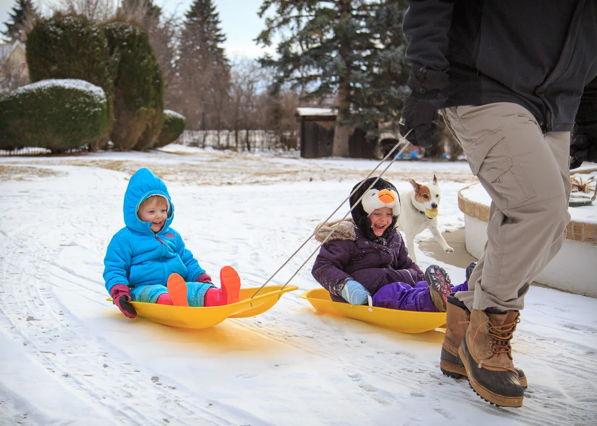 Daddy-drawn sleds!