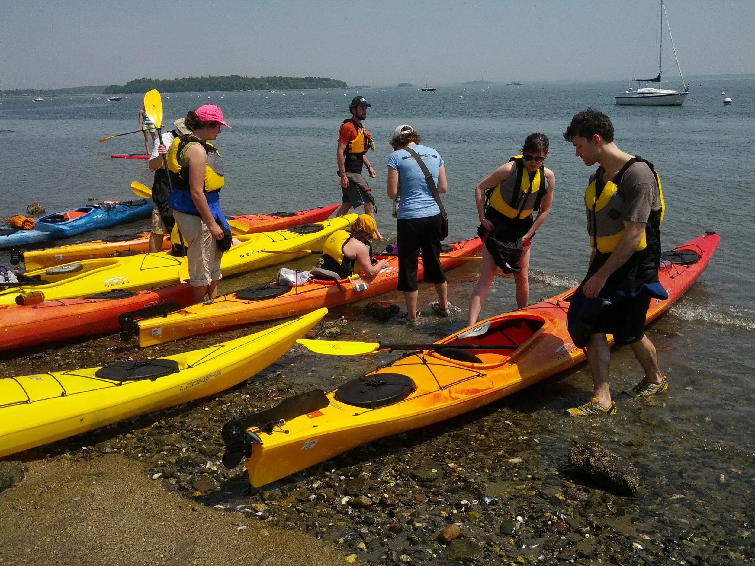 IMG_20130601_112920.jpg
