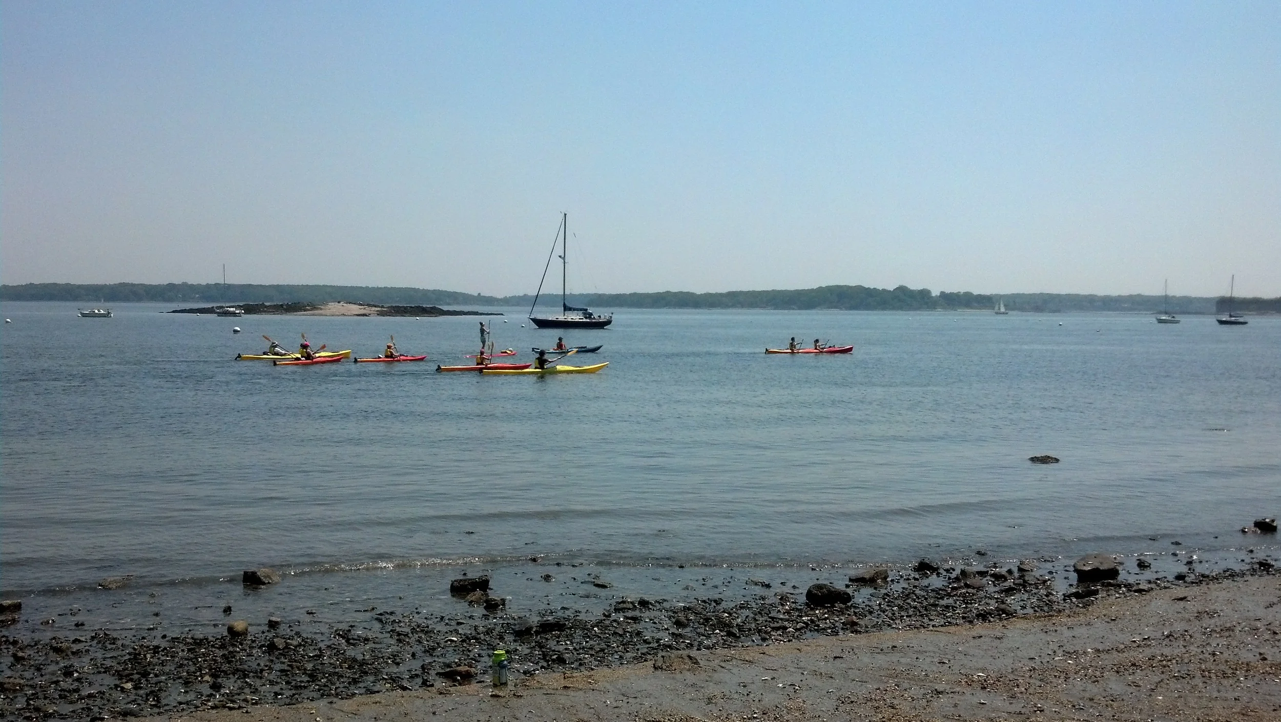 IMG_20130601_113636_359.jpg