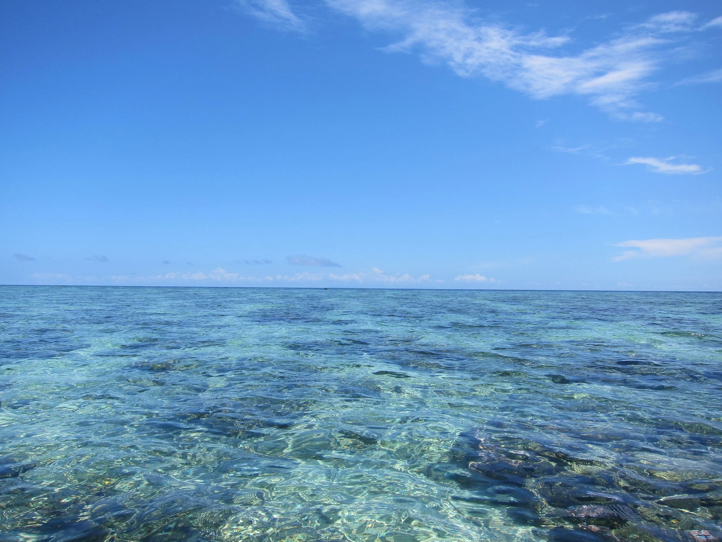 77 The reef at Rakiraki.jpg