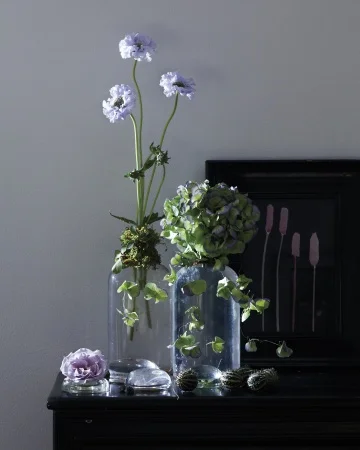 polux-hydrangeas-md109565_vert.jpg