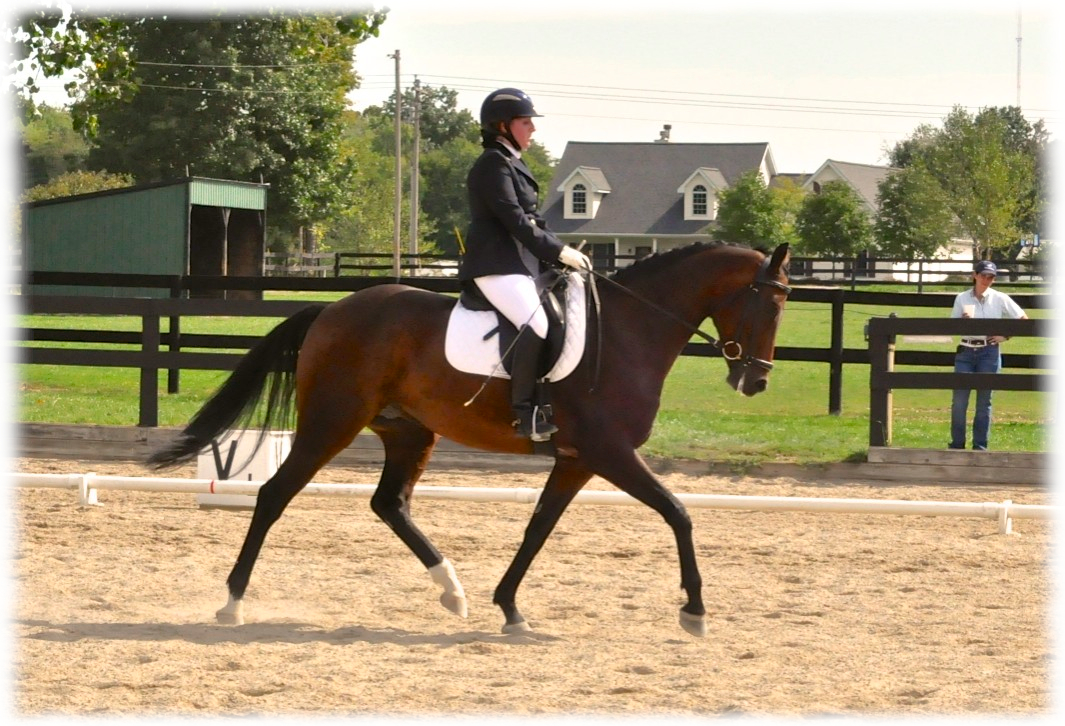 akdressage-september-2012-1.jpg