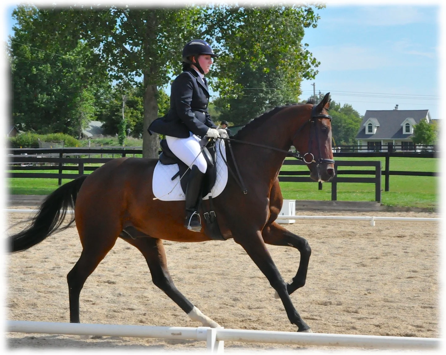 akdressage-september-2012-2.jpg