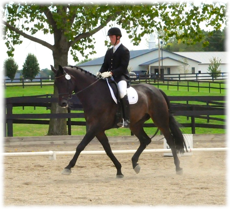 akdressage-september-2012-4.jpg