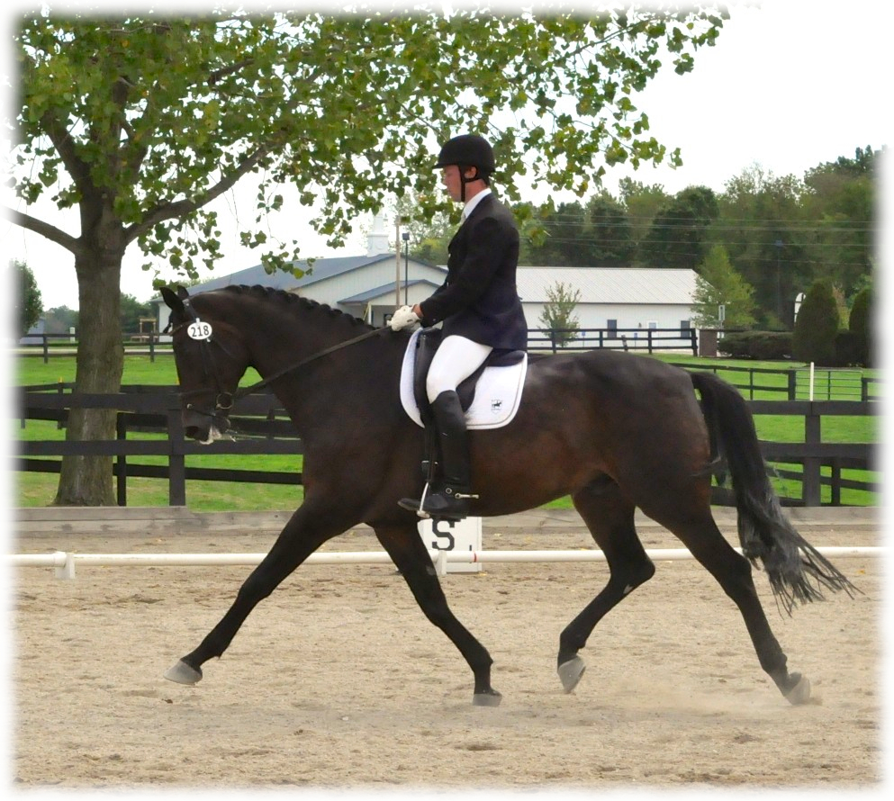 akdressage-september-2012-5.jpg