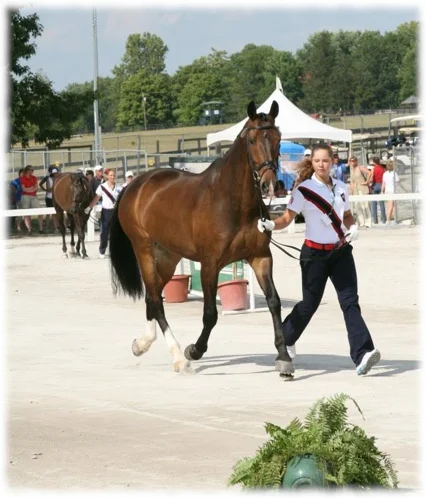 najyrc-july-2012-gerlt.jpg