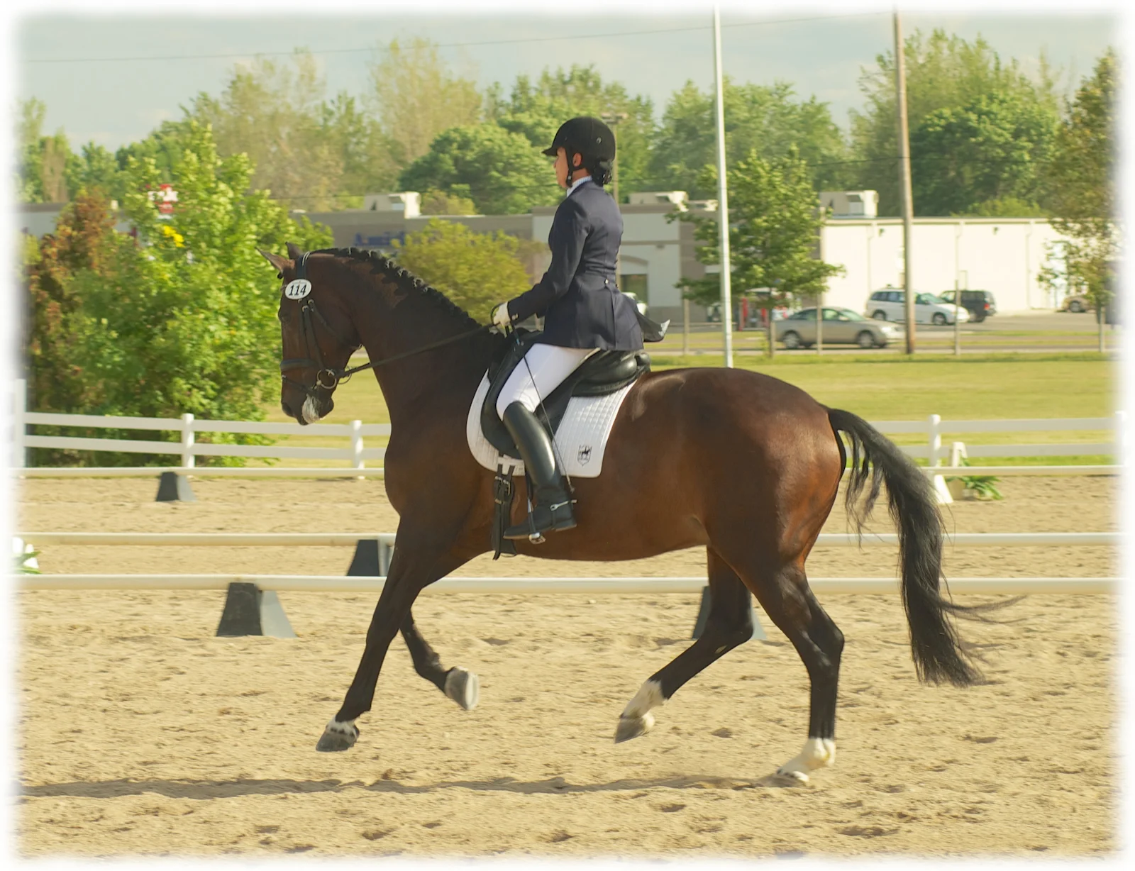 regionals-sept-2012-1.jpg