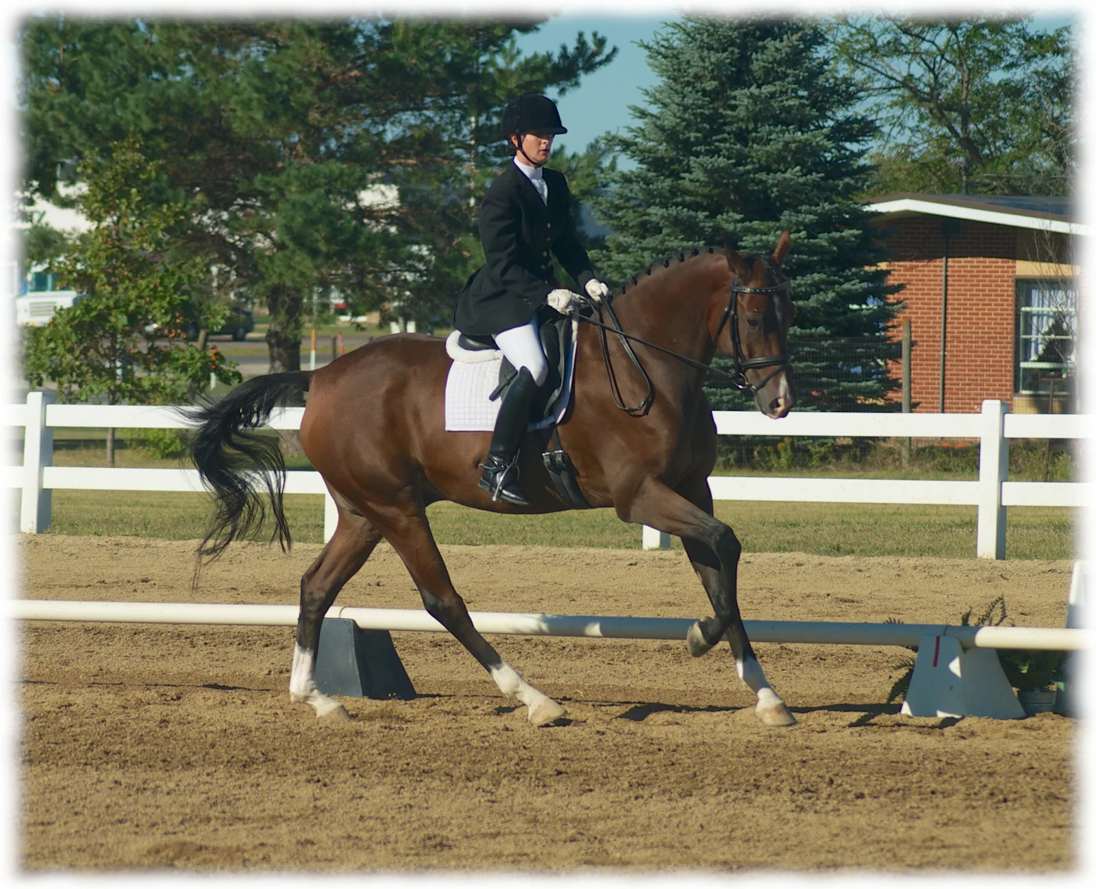 regionals-sept-2012-2.jpg