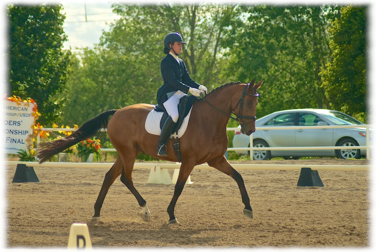 regionals-sept-2012-5.jpg