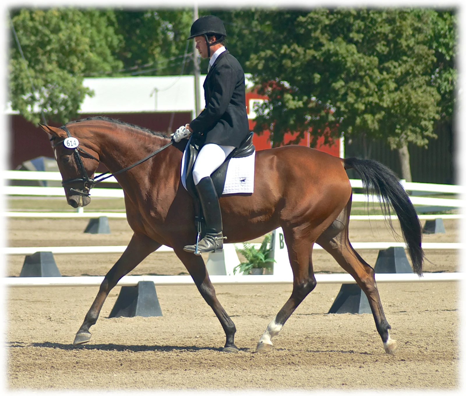 regionals-sept-2012-6.jpg