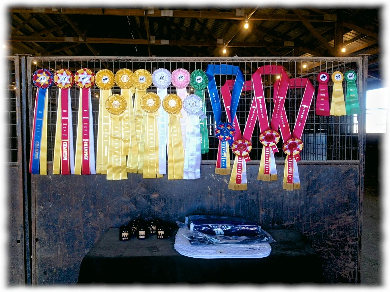 regionals-sept-2012-7.jpg