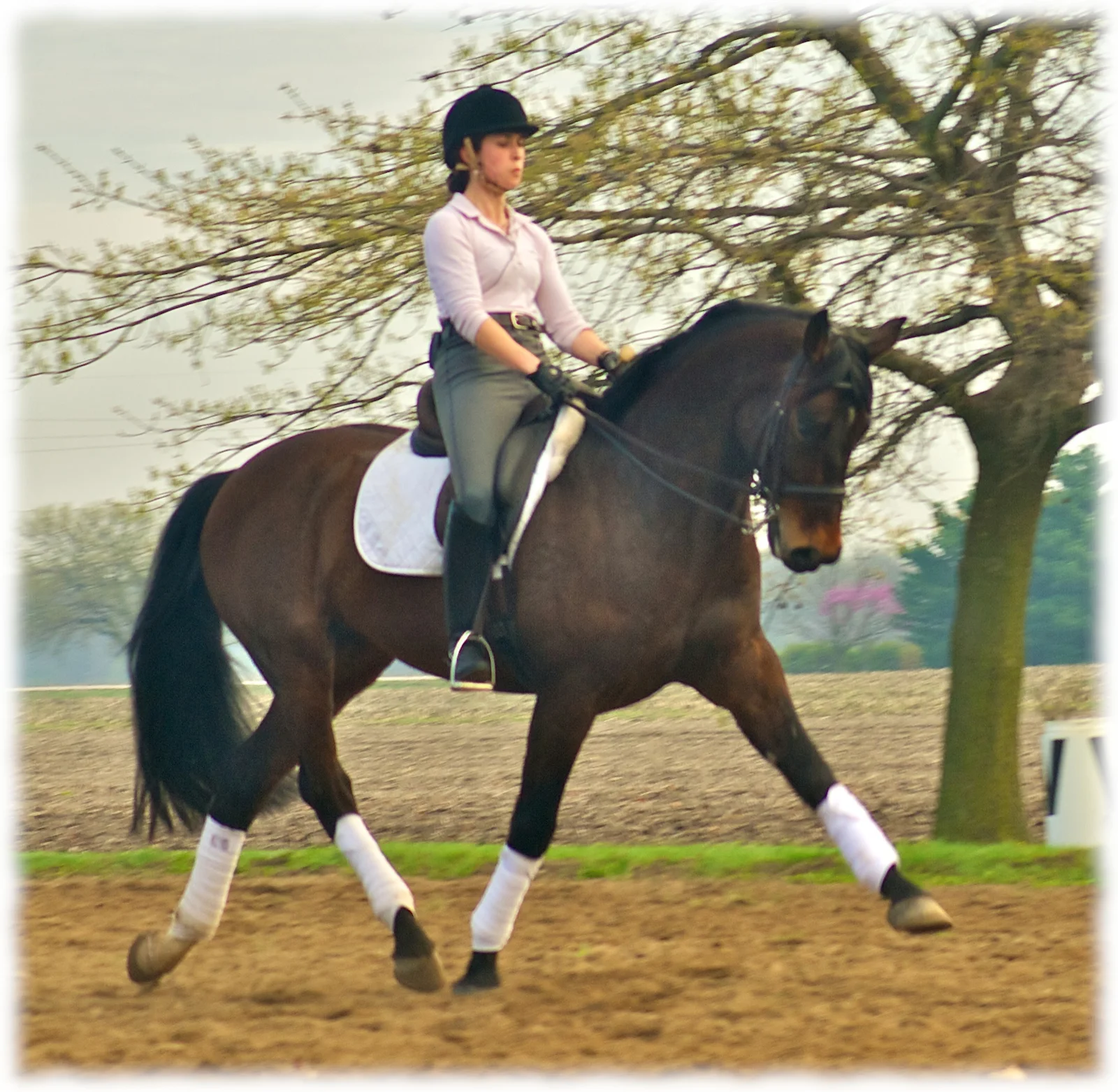 2012-politz-clinic-pic 1-flare.jpg