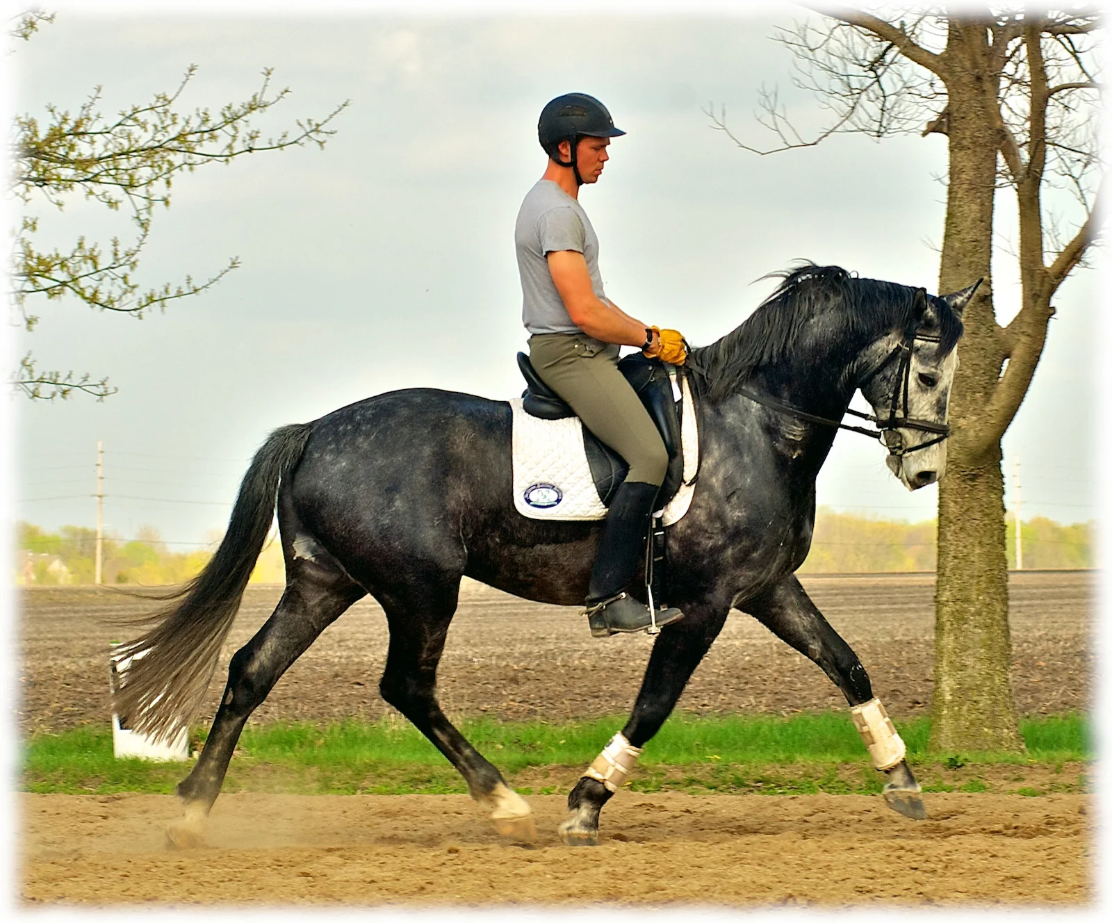 2012-politz-clinic-pic 11-flare.jpg