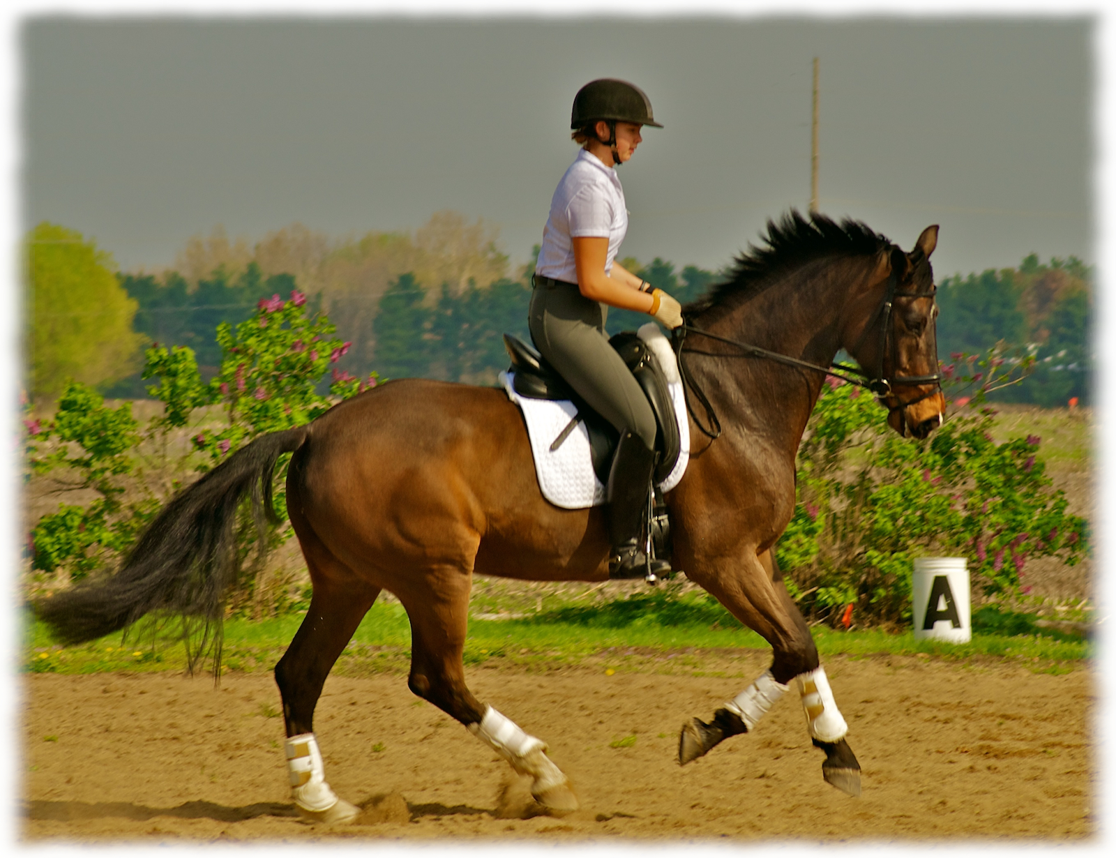 2012-politz-clinic-pic 5-flare.jpg