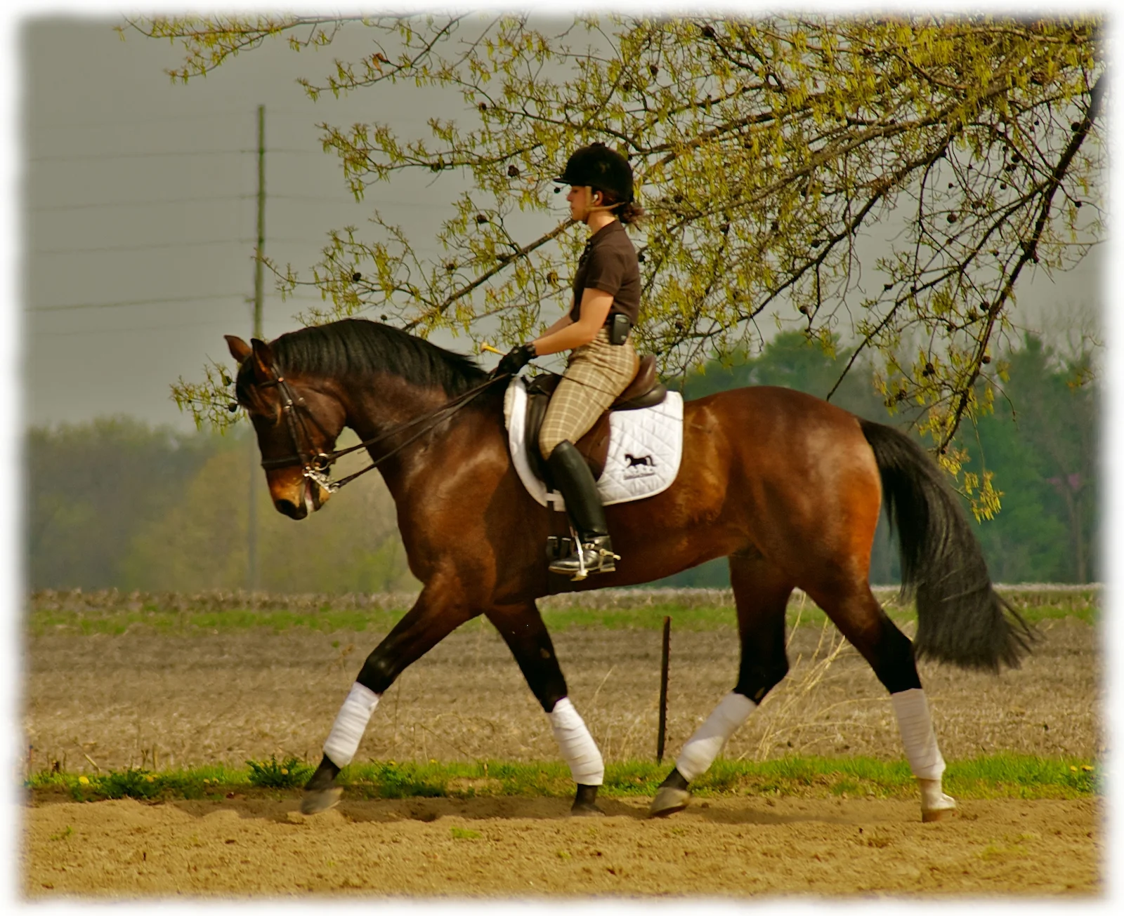 2012-politz-clinic-pic 6-flare.jpg