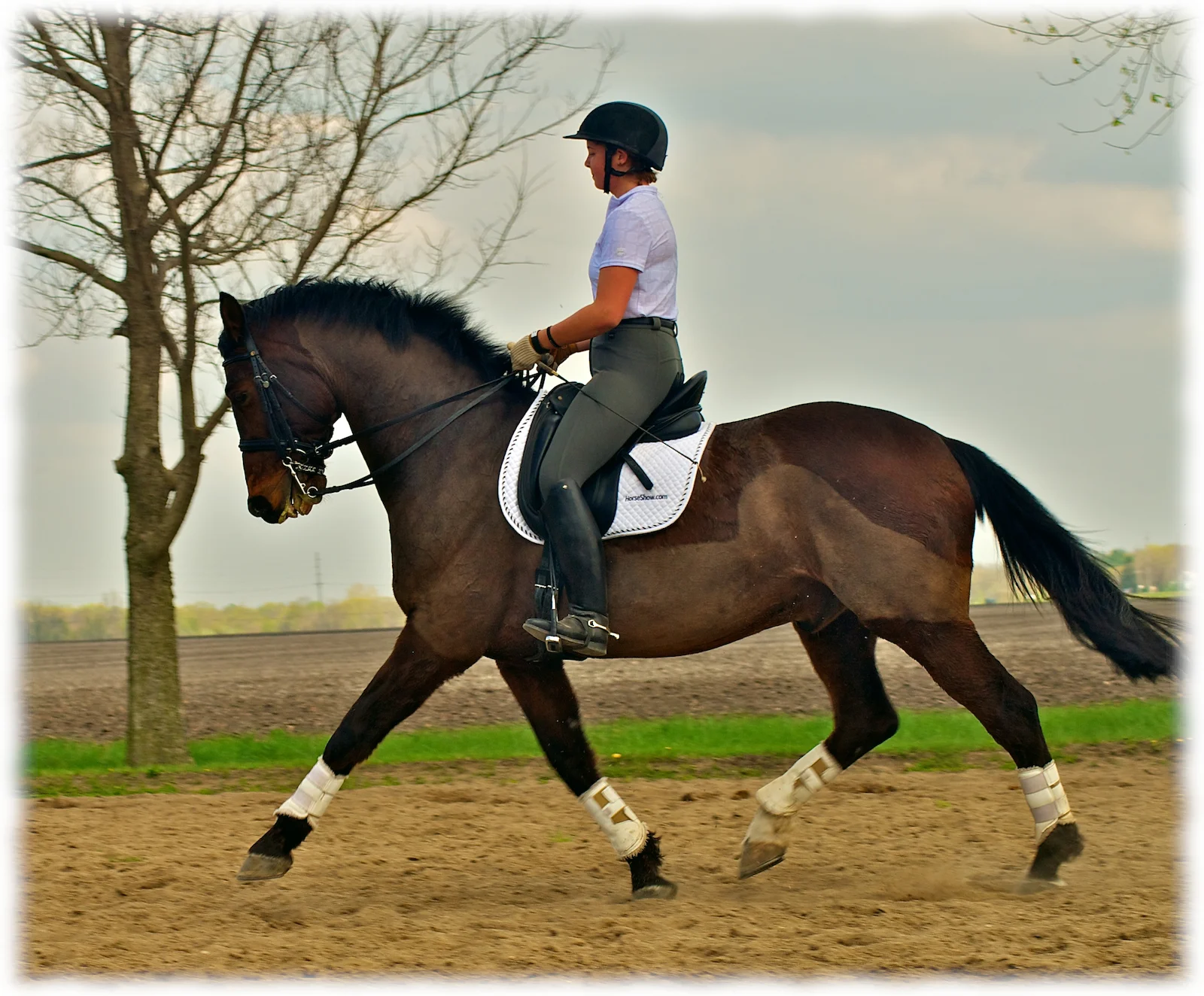 2012-politz-clinic-pic 8-flare.jpg