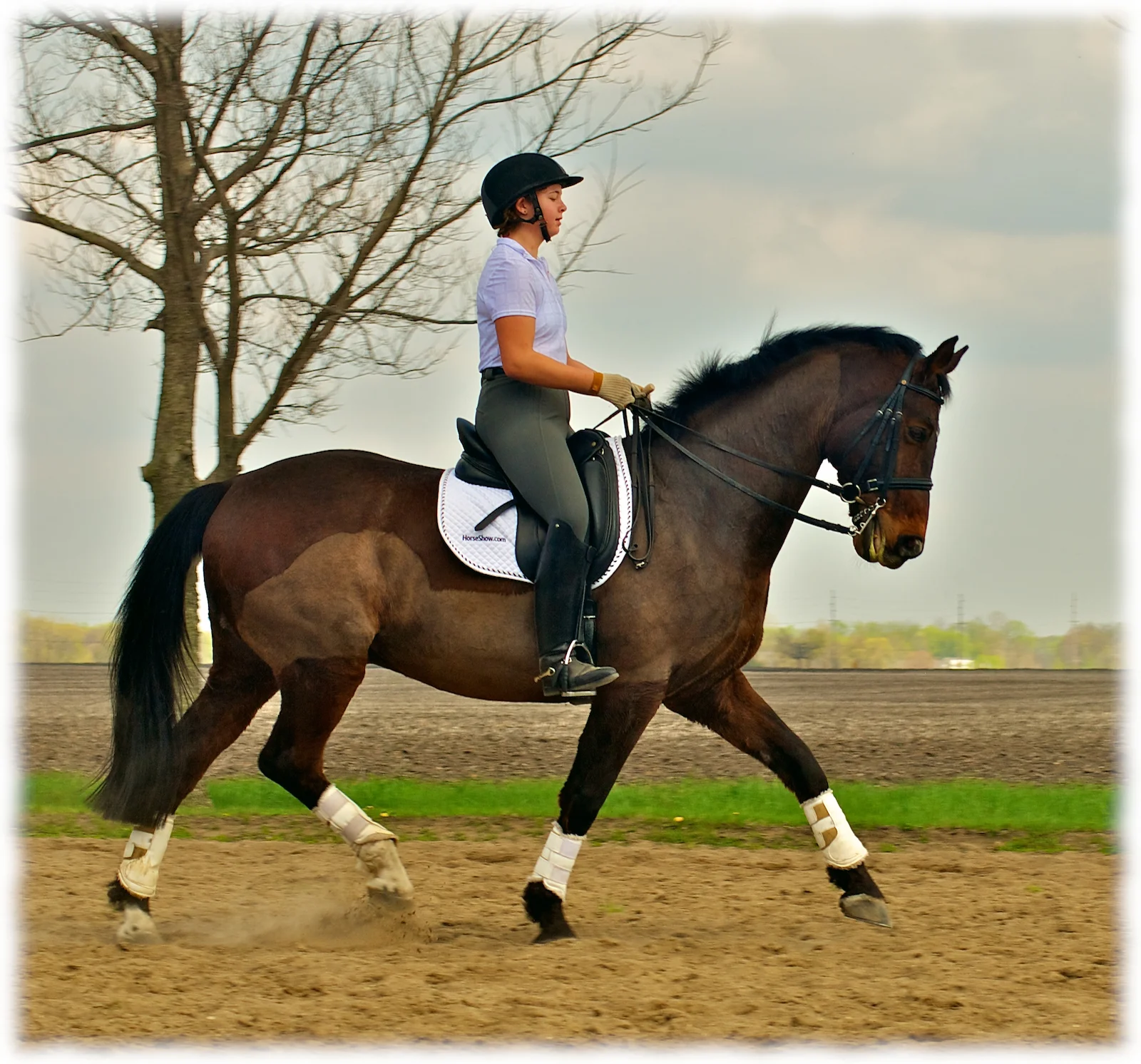 2012-politz-clinic-pic 7-flare.jpg