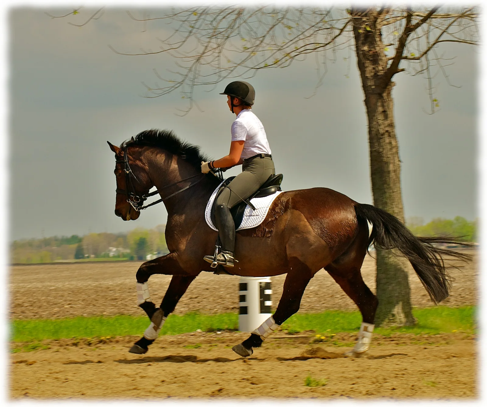 2012-politz-clinic-pic 9-flare.jpg