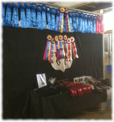  most of the awards won by StarWest at Carousel Connection