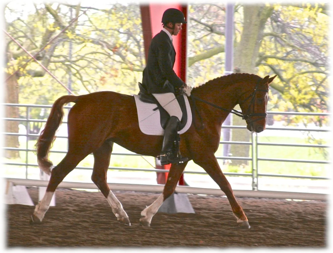 carousel7-flare.jpg