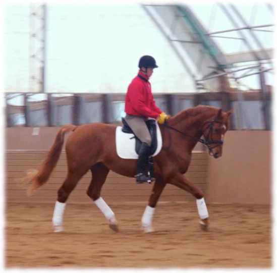 young-horse-clinic-endeavor-flare.jpg