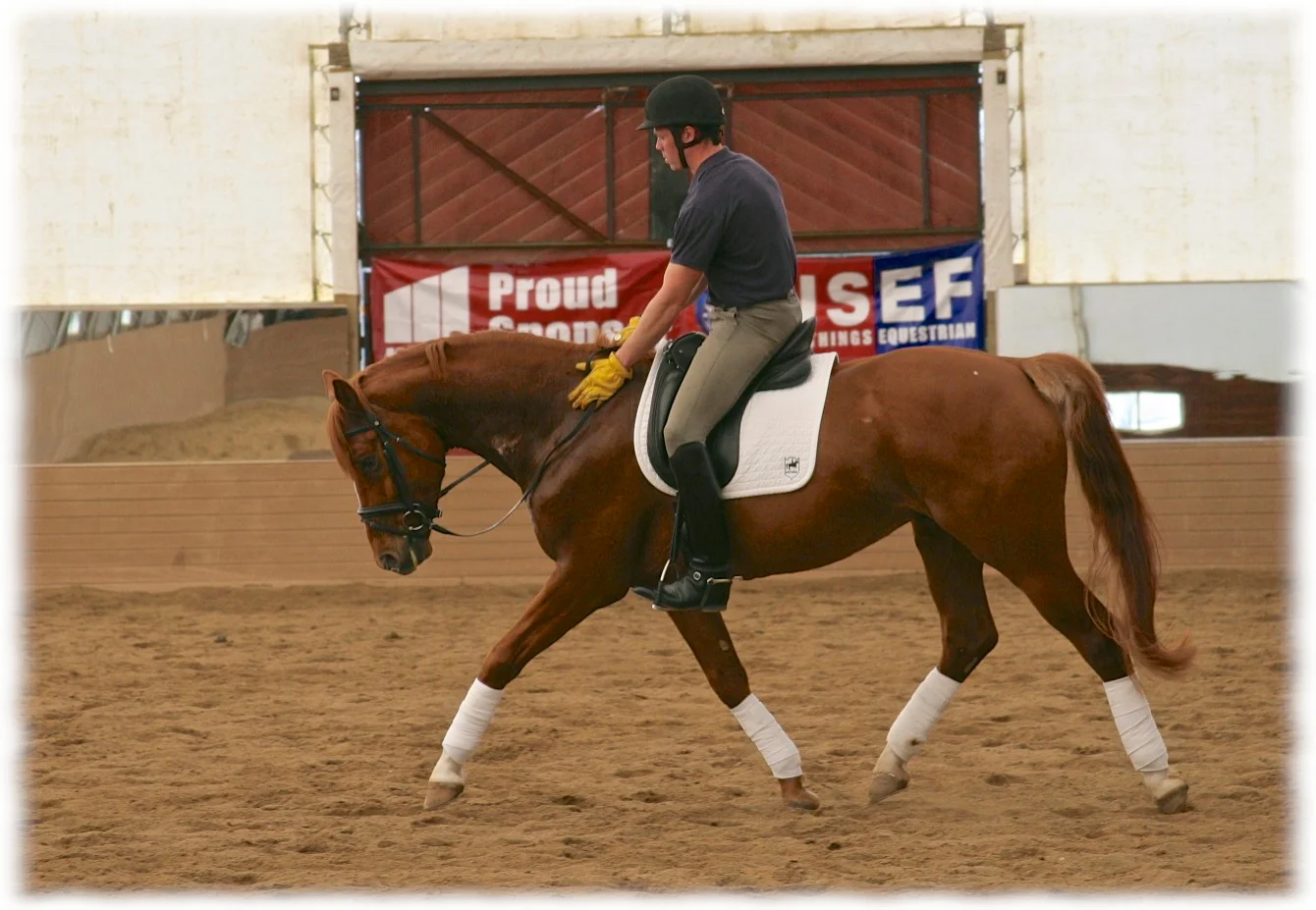 young-horse-clinic-endeavor3-flare.jpg