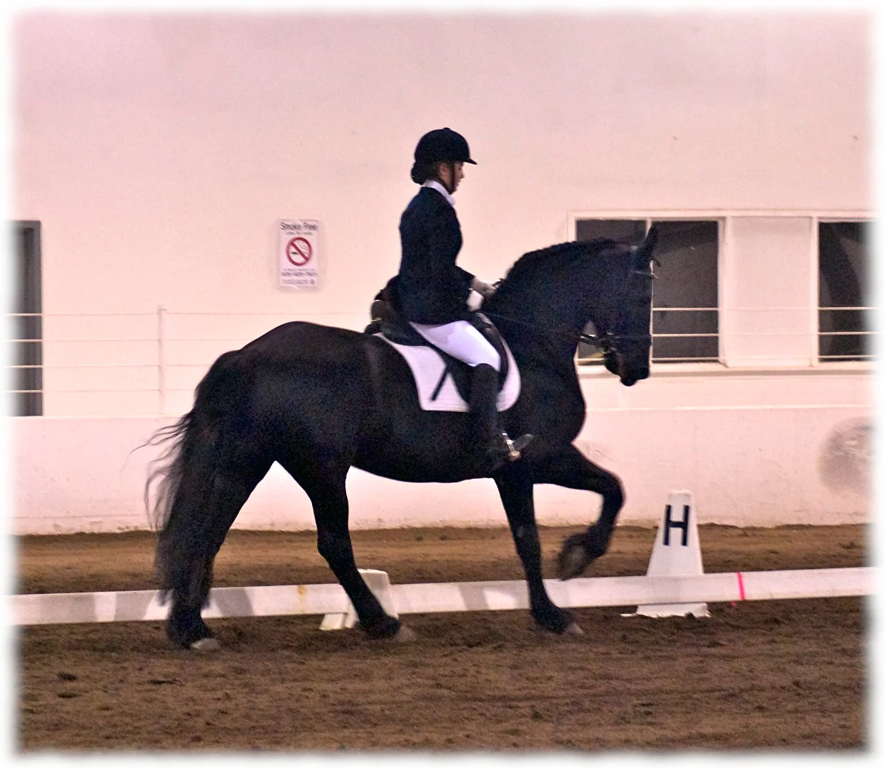 Inga competing Phil Pan & Deb Klamen's Kelly in 2011.