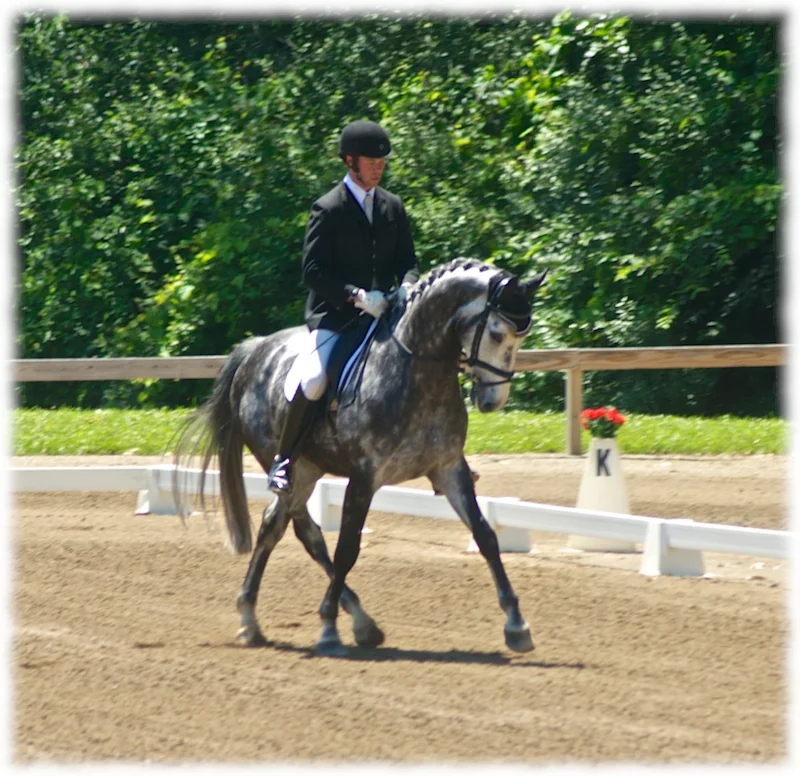 waterloo-july-2013-5.jpg