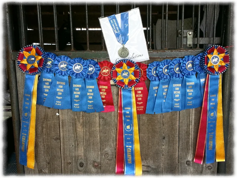 silverwood-ribbons.jpg