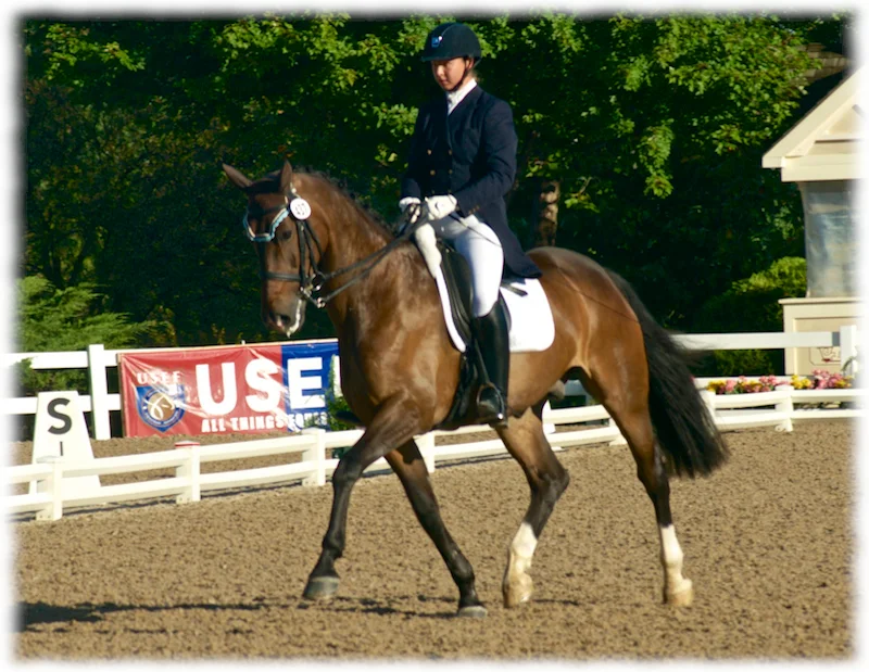 young-horse-champ-2.jpg