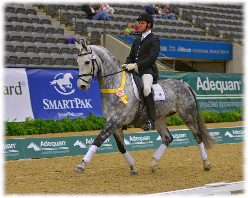 Greystoke was 3rd n the country at Third Level Open at USDF Nationals - Photo by Bob Tarr
