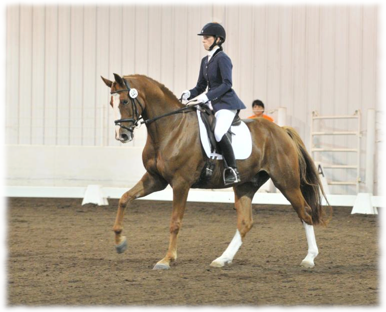 Hemmingway & Erin Herzog were Reserve Champion First Level AA at Regionals photo by Jesse Franks
