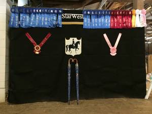 Some of the awards won by StarWest at the SLADS Summer Festival Show