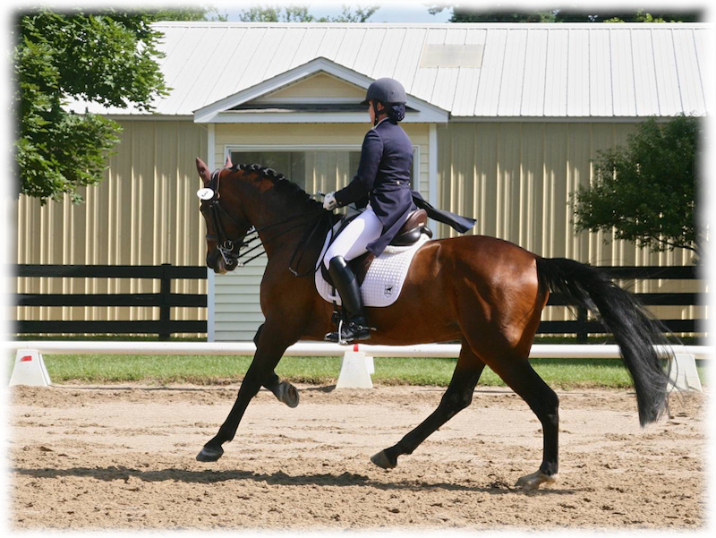 Westerstorm & Kate Fleming-Kuhn owned by Phil Pan & Deb Klamen