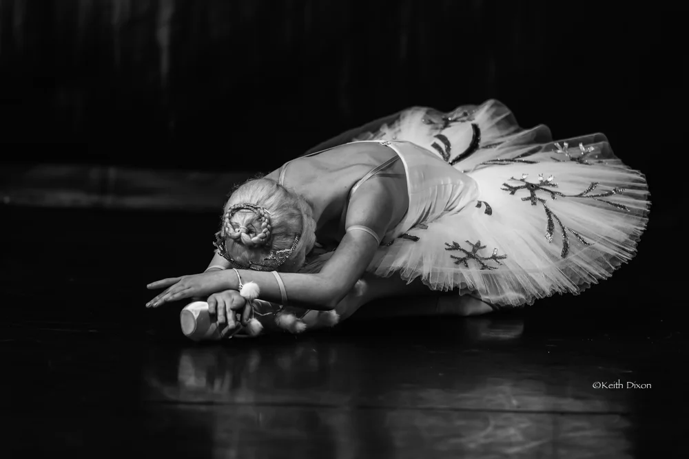 1 (1 of 1)-4.jpg